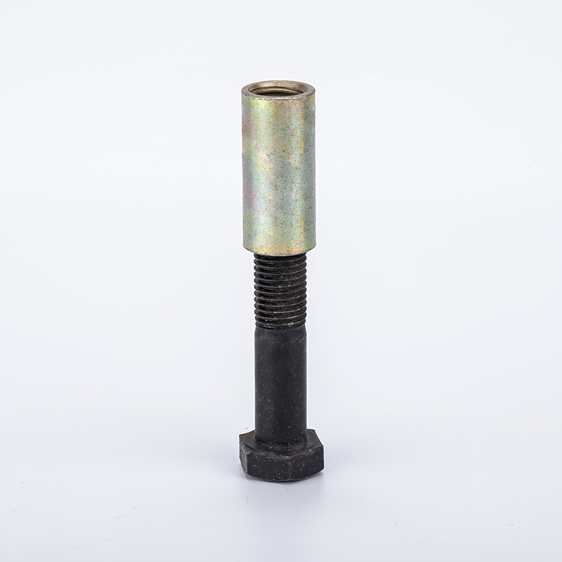 Bolt Anchor