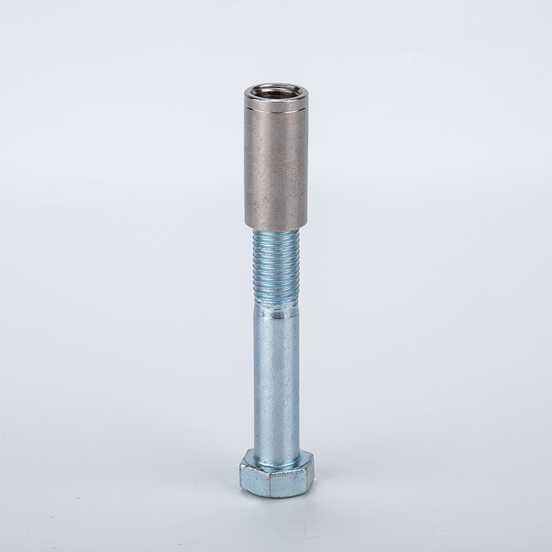 Bolt Anchor