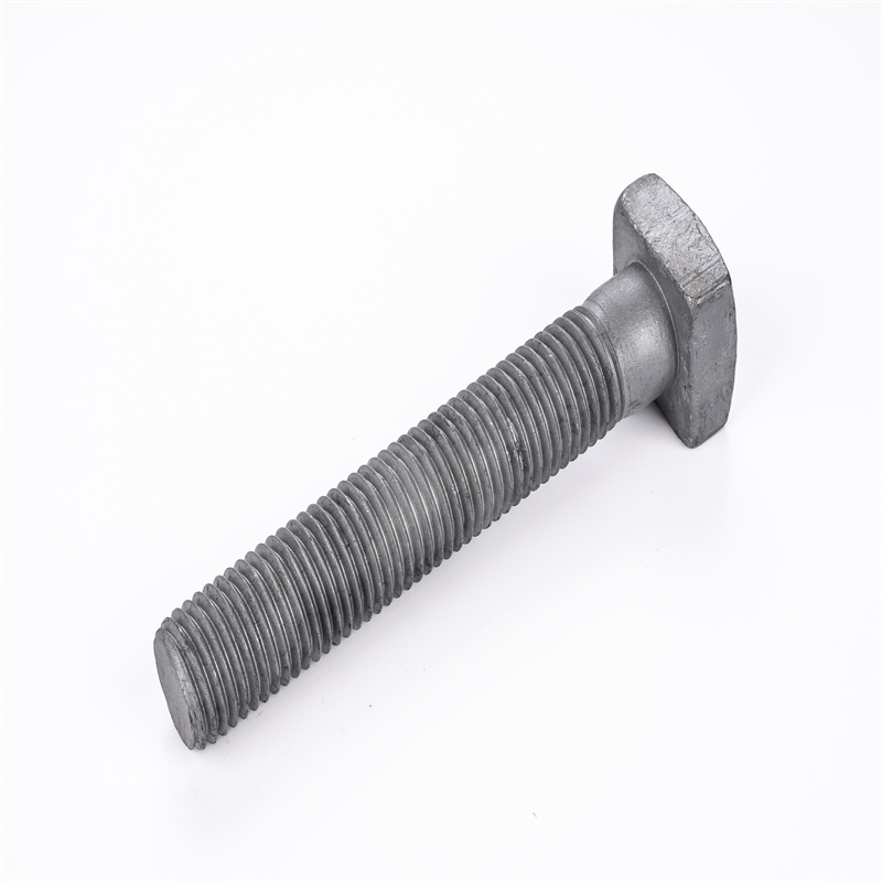 Square head bolt